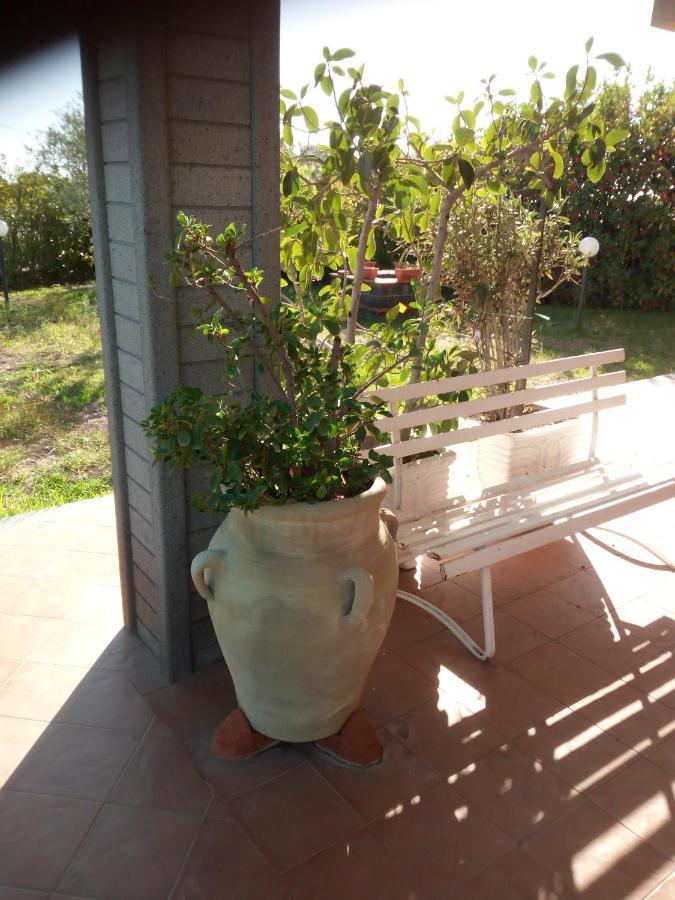 Villa Antonietta Pedara Exterior photo